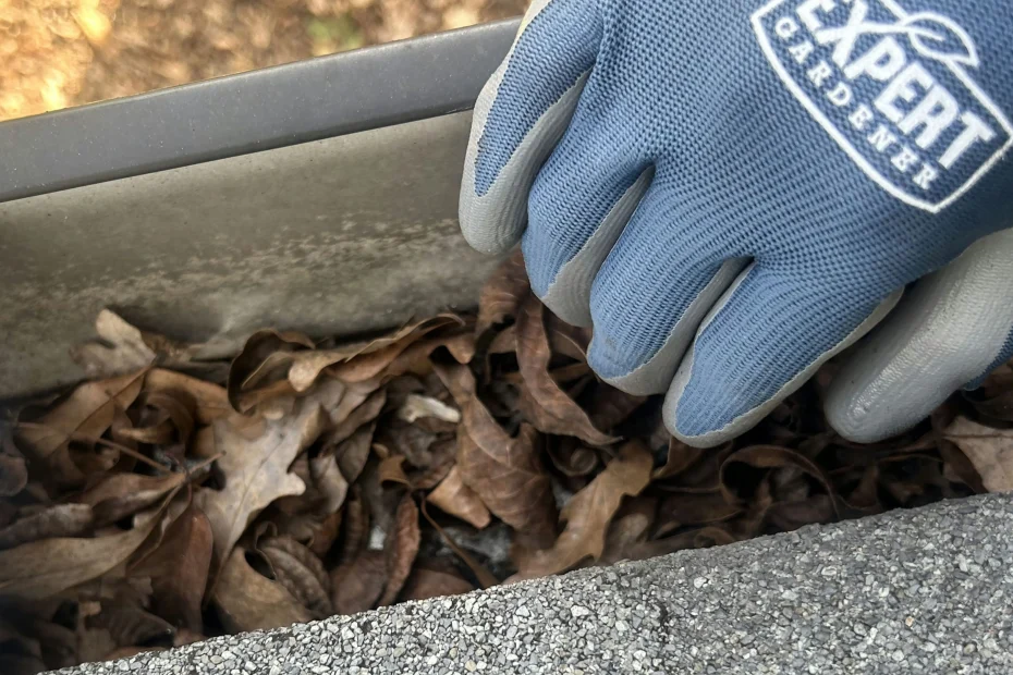 Smithville Gutter Cleaning